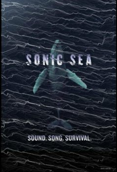 Оглушающий океан